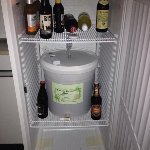 05.Sud_Märzen_OG_20150718_172621_klein.jpg (441.66 KiB) 11171 mal betrachtet Cold Crash