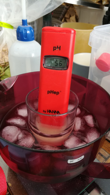 S40_01_PhWert.jpg