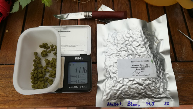 S40_01_Hopfen.jpg
