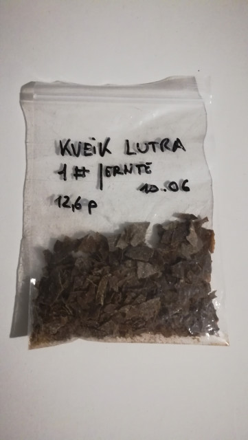 Lutra Kveik. 0,5g auf 500ml sollen (angeblich) für 20l reichen. Und ich habe nur 6-7 Liter...