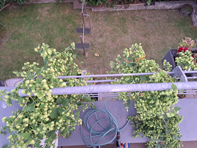 20220830_195123.jpg