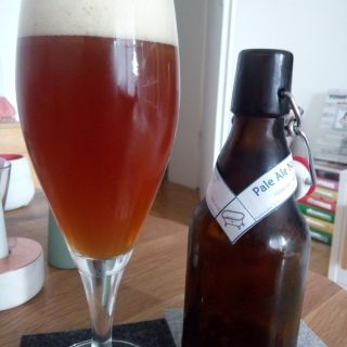 Pale Ale No. 11_small.jpg