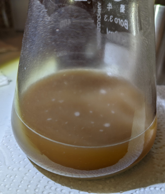 Wyeast1450_d3.jpg