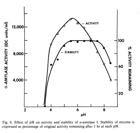 pH affects activity and stability of alpha-amylase.jpg