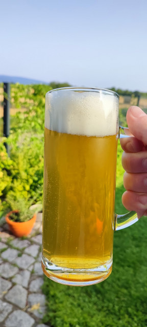 wiener_lager.jpg