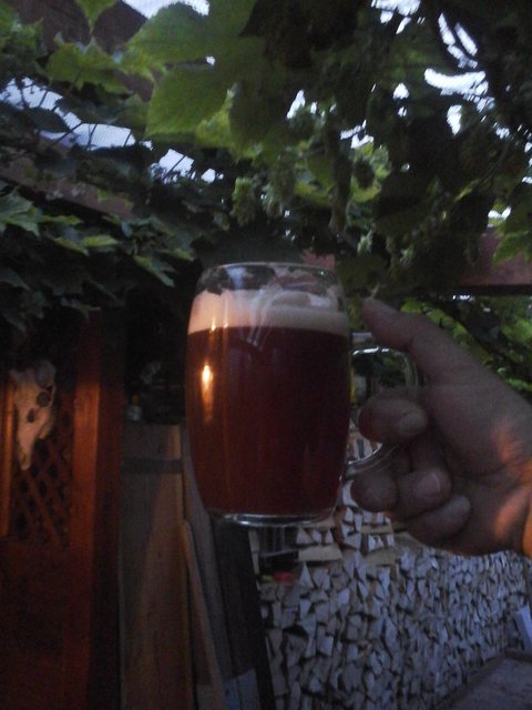 Klosterbier.jpg