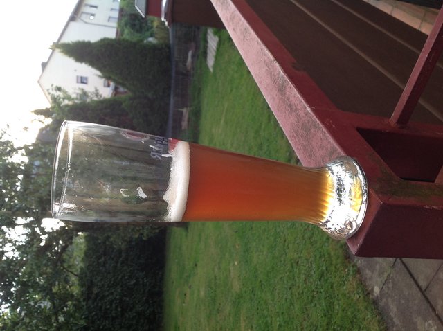 image.jpg (1.25 MiB) 12131 mal betrachtet Hamarillo im Glas