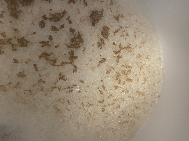 A9A25E79-B5ED-494B-B717-D233ABEE32CA.jpeg (4 MiB) 13211 mal betrachtet Diamond Lagee