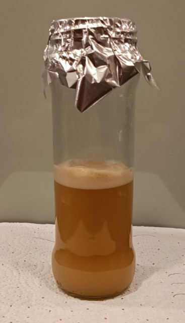 Starter Stufe 2 11h