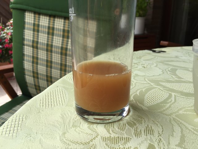 Jungbier nach 2 Wochen im Gärfass