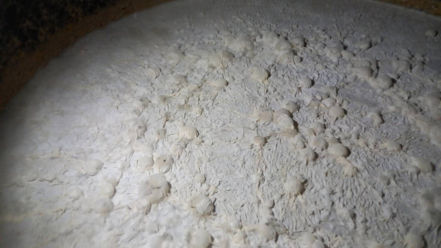 pellicle.jpg