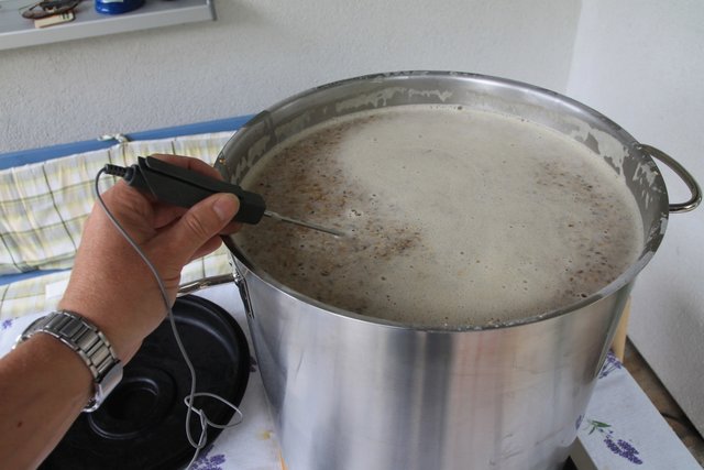 IMG_8160.JPG (441.72 KiB) 9445 mal betrachtet Maltoserast und immer mal wieder Temeratur messen.