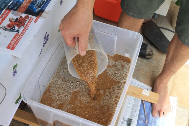 IMG_8173.JPG (517.67 KiB) 8892 mal betrachtet So und jetzt ist mir ein blöder Fehler unterlaufen. Nach geschätzten 50 Suden habe ich zum ersten mal vergessen die 2. Zuckerrast bei 78°C anzufahren. Hier im Forum steht sinngemäß dass sich das schlimmstenfalls auf die Ausbeute auswirkt. Na ja, mal sehen was draus wird...<br />Also weiter mit läutern. Ich mach das immer noch klassisch wie ich's gelernt habe mit der Hand. Also abschöpfen und in einen am Boden gelochten Läuterbottich.