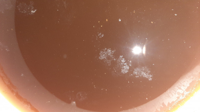 20230420_092723.jpg
