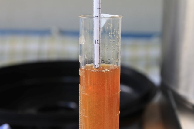 IMG_8197.JPG (317.94 KiB) 9263 mal betrachtet Während der Kochphase habe ich immer mal die Verdampfte Flüssigkeit mit übrigen Glattwasser aufgefüllt. Nach Kochende warens also immer noch 15% Stammwürze.<br />Ziel erreicht.