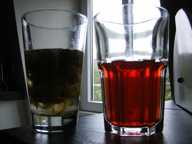 DSCF0031.JPG