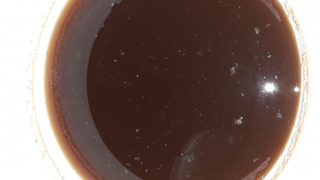 20230425_091130.jpg