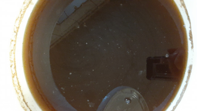 20230425_091117.jpg