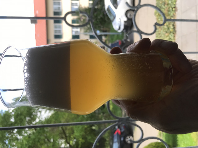 Gose mit Philly Sour