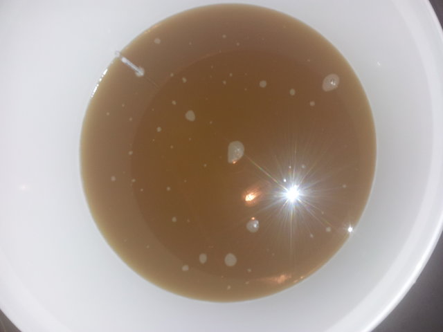 Nach dem Kühlen und der Hefezugabe. Die Trockenhefe (Fermentis SO4) habe ich vorher in Zuckerwasser ´´geweckt´´