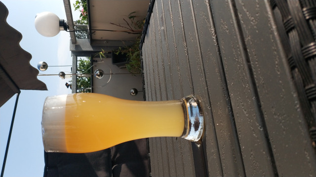 IMG-20230527-WA0004.jpeg (960.59 KiB) 7392 mal betrachtet Weizen, Rezept von mum