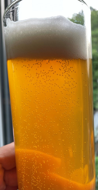 Bild1_Dekoktion_Bier.jpg (964.83 KiB) 6661 mal betrachtet Bild