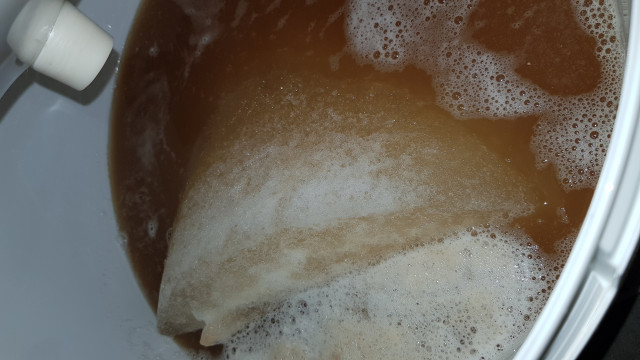 20230713_125724.jpg