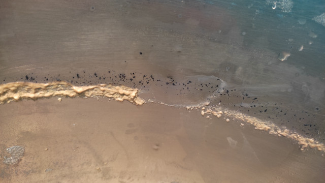1689533010905.jpg