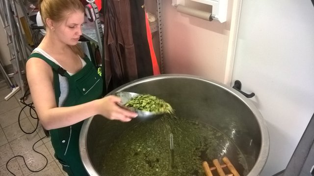 Meine (Brau)Partnerin bei einer der vielen Hopfengaben