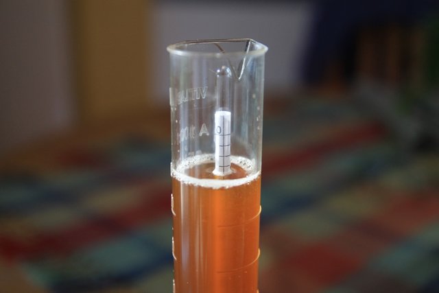 Die Spindel zeigt ca. 3,7% bei 14° Jungbiertemperatur. Restwürze hat also 3,5%. <br />Ausgehend von 15% macht das dann 6,3%vol Alk.