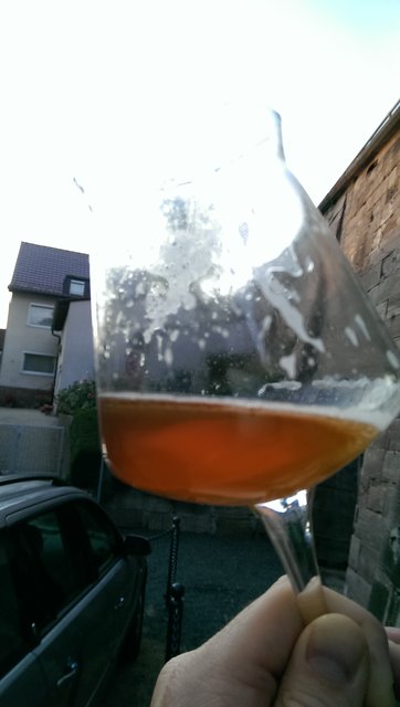 IMAG0684.jpg