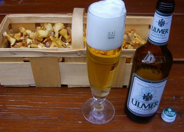 Ulmer Pils.JPG