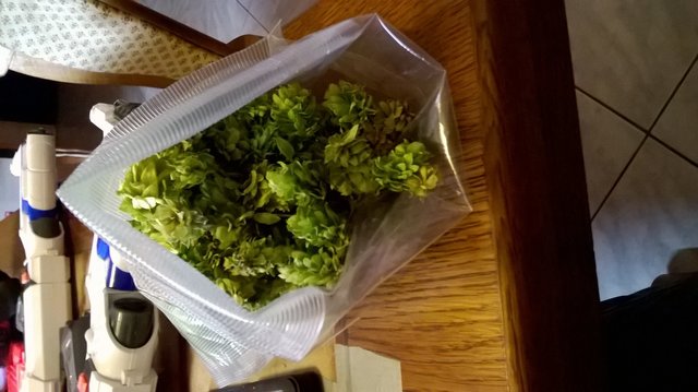 WP_20150907_004.jpg