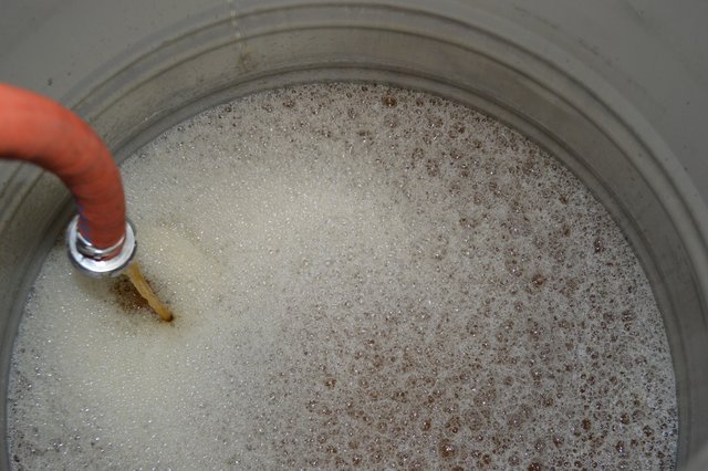 DSC_0059.jpg