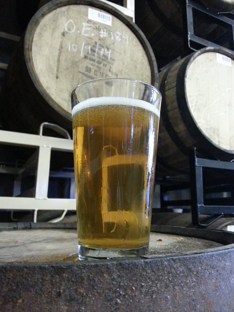 Hoptonic IPA.jpg