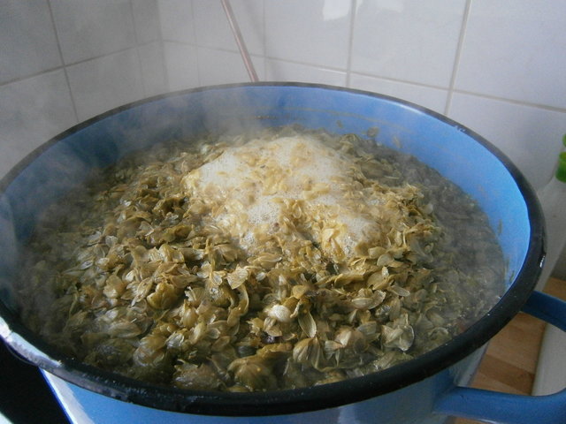 nochmal 130 Gramm für 10 min. kochen und die Würze bahnt sich ihren Weg