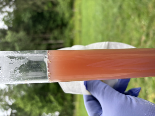 Farbe.jpg
