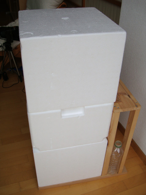 DSC09252.JPG