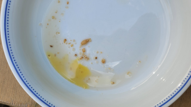 20240820_151527.jpg