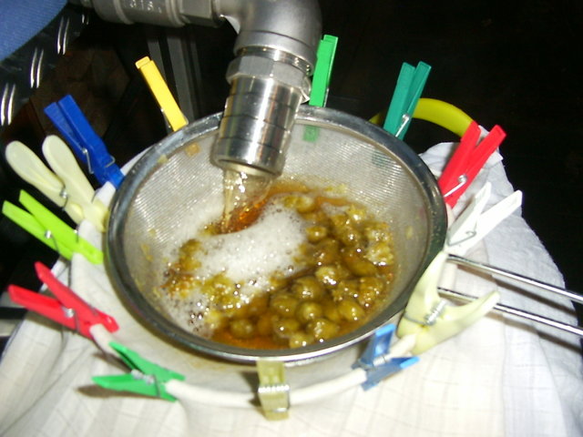 Cascade-Ale 3.JPG