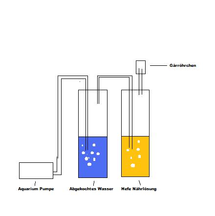 Hefe aufarbeitung.jpg