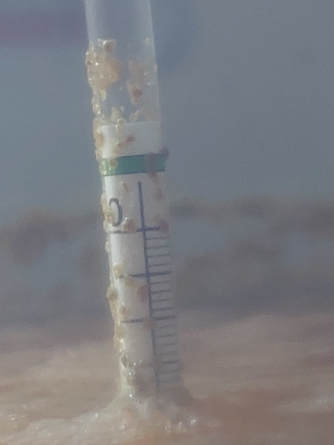 1000061918.jpg