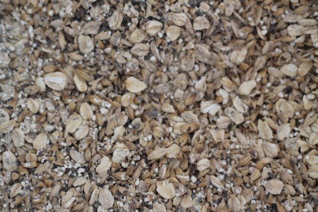 IMG_5260.JPG (4.34 MiB) 3372 mal betrachtet Schrotbild