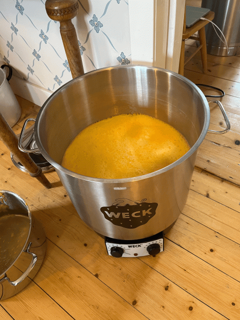 tempImagezAEYWo.gif