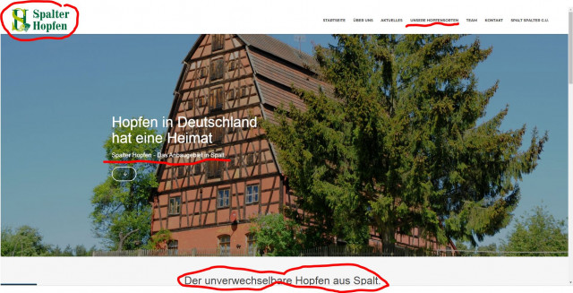 Spalter Hopfen.JPG