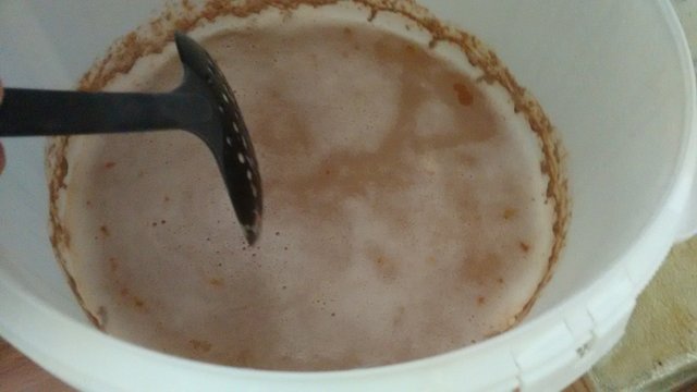 Bilder des aktuellen Suds