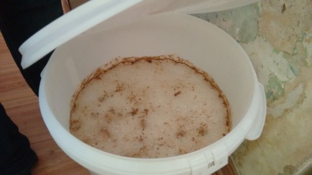 Bilder des aktuellen Suds
