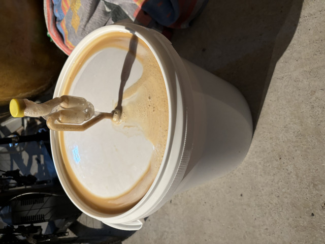 IMG_2918.jpeg