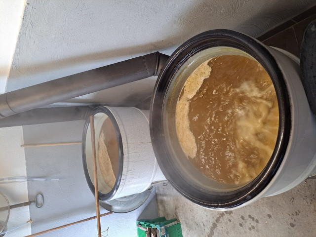 Hopfenkochen