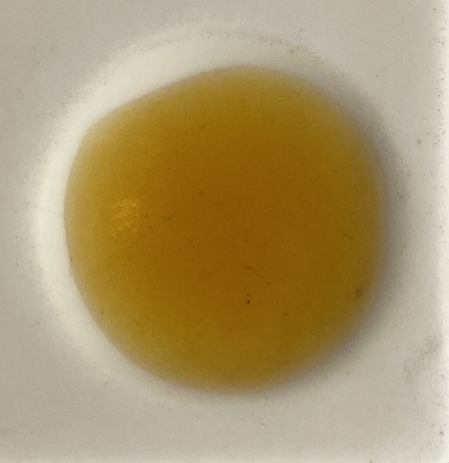 IMG_0133.png